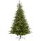 8ft. Pre-Lit North Carolina Spruce Artificial Christmas Tree, Clear LED Lights